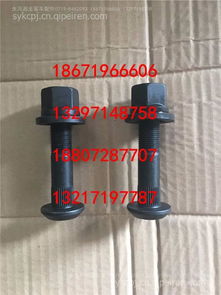 东风天翼电动车轮胎螺丝6810 选购指南与市场分析