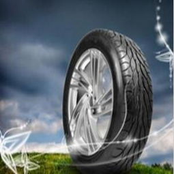 欣天衣轮胎汽车用品加盟 品牌实力与门店形象展示